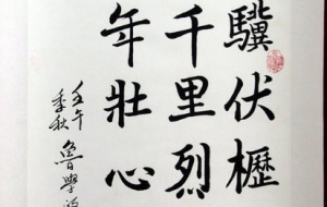 应届毕业生落户深圳的申报材料(个人申办)