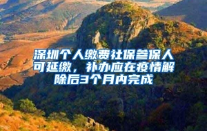 深圳个人缴费社保参保人可延缴，补办应在疫情解除后3个月内完成
