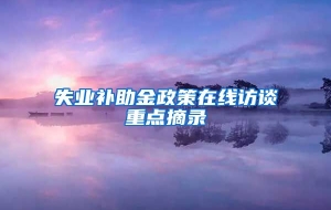 失业补助金政策在线访谈重点摘录