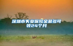 深圳市失业保险金最多可领24个月