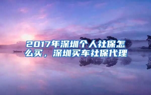 2017年深圳个人社保怎么买，深圳买车社保代理