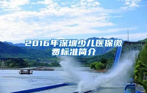 2016年深圳少儿医保缴费标准简介