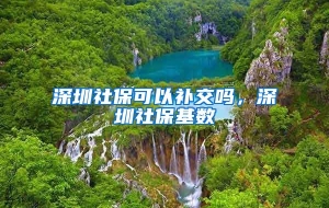 深圳社保可以补交吗，深圳社保基数