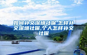 如何补交深圳社保,怎样补交深圳社保,个人怎样补交社保