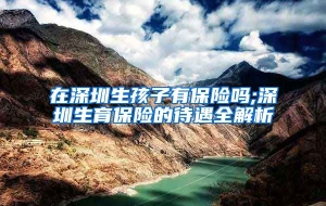 在深圳生孩子有保险吗;深圳生育保险的待遇全解析
