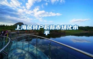 上海居转户职称市场化水平