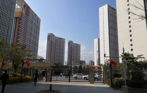 大数据发现一个秘密，自考本科可作为本科入户深圳吗有些不一样？