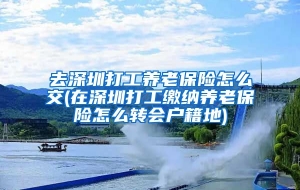 去深圳打工养老保险怎么交(在深圳打工缴纳养老保险怎么转会户籍地)
