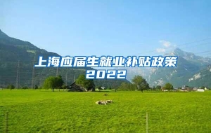 上海应届生就业补贴政策2022
