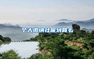 个人缴纳社保划算么