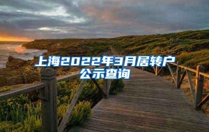 上海2022年3月居转户公示查询