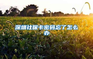 深圳社保卡密码忘了怎么办