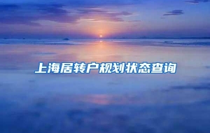 上海居转户规划状态查询