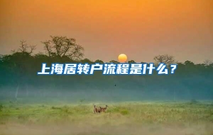 上海居转户流程是什么？