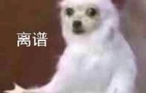 限购加紧！落户满3年、社保36个月…深户买房有这些条件！还有这些要注意