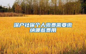 深户社保个人缴费需要缴纳哪些费用