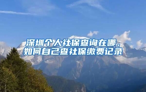 深圳个人社保查询在哪，如何自己查社保缴费记录