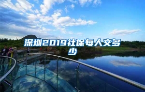 深圳2019社保每人交多少