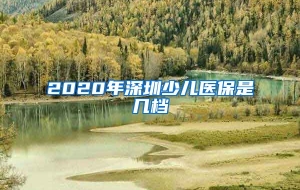 2020年深圳少儿医保是几档