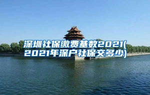 深圳社保缴费基数2021(2021年深户社保交多少)
