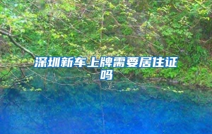 深圳新车上牌需要居住证吗