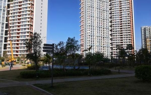 3种思路，教你如何应对留学生深圳落户中介