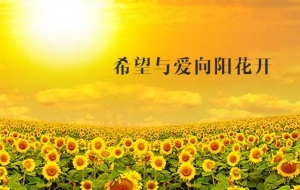 2022年居转户上海落户最新材料大全和四点细节帮你顺利落户上海