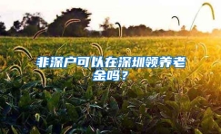 非深户可以在深圳领养老金吗？