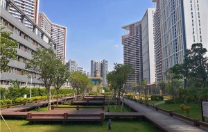 当我办理2021深圳留学生落户政策时他们笑了，但当我成功后……！