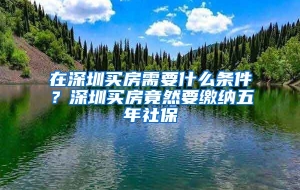 在深圳买房需要什么条件？深圳买房竟然要缴纳五年社保