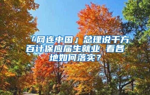 「网连中国」总理说千方百计保应届生就业 看各地如何落实？
