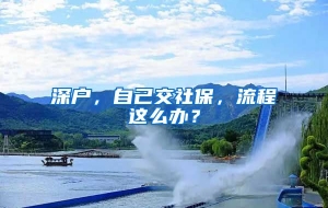 深户，自己交社保，流程这么办？