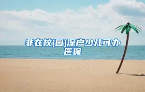 非在校(园)深户少儿可办医保