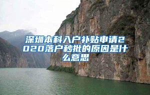 深圳本科入户补贴申请2020落户秒批的原因是什么意思