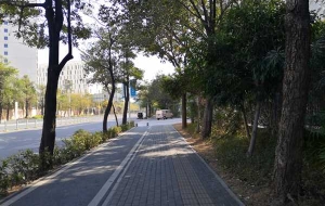 帮你省钱，一条聊清楚的硕士生落户深圳积分