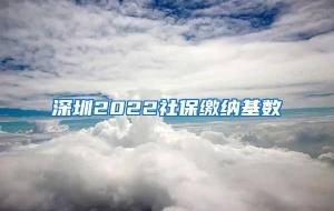 深圳2022社保缴纳基数