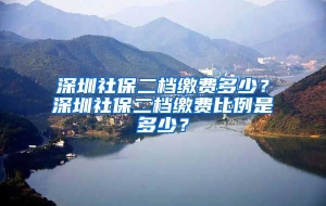 深圳社保二档缴费多少？深圳社保二档缴费比例是多少？