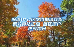 深圳10+1区学位申请社保积分算法汇总 多区深户也可加分