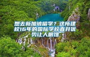 想去新加坡留学？这所建校16年的国际学校直升优势让人眼馋