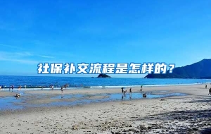 社保补交流程是怎样的？