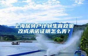 上海居转户计划生育政策改成承诺证明怎么弄？