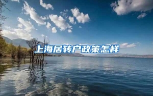 上海居转户政策怎样