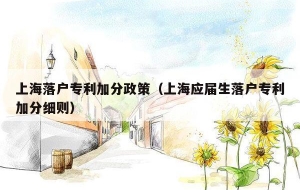 上海落户专利加分政策（上海应届生落户专利加分细则）