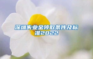 深圳失业金领取条件及标准2022