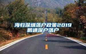 海归深圳落户政策2019鹏通深户落户