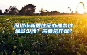 深圳市新居住证办理条件是多少钱？需要条件是？