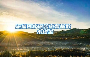 深圳医疗保险缴费基数 本地宝