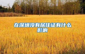 在深圳没有居住证有什么影响