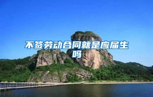 不签劳动合同就是应届生吗