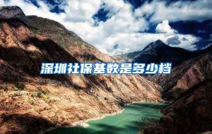 深圳社保基数是多少档